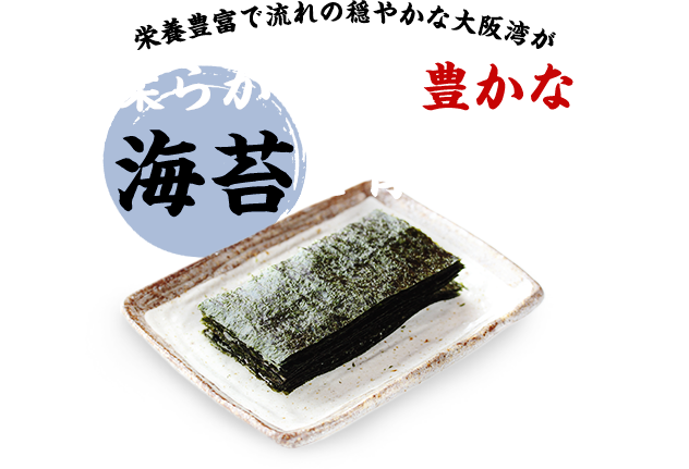 栄養豊富で流れの穏やかな大阪湾が柔らかく風味豊かな海苔を育てます