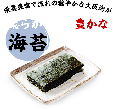 栄養豊富で流れの穏やかな大阪湾が柔らかく風味豊かな海苔を育てます